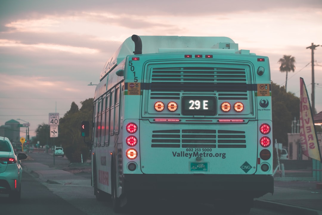 green and red bus on road during daytime