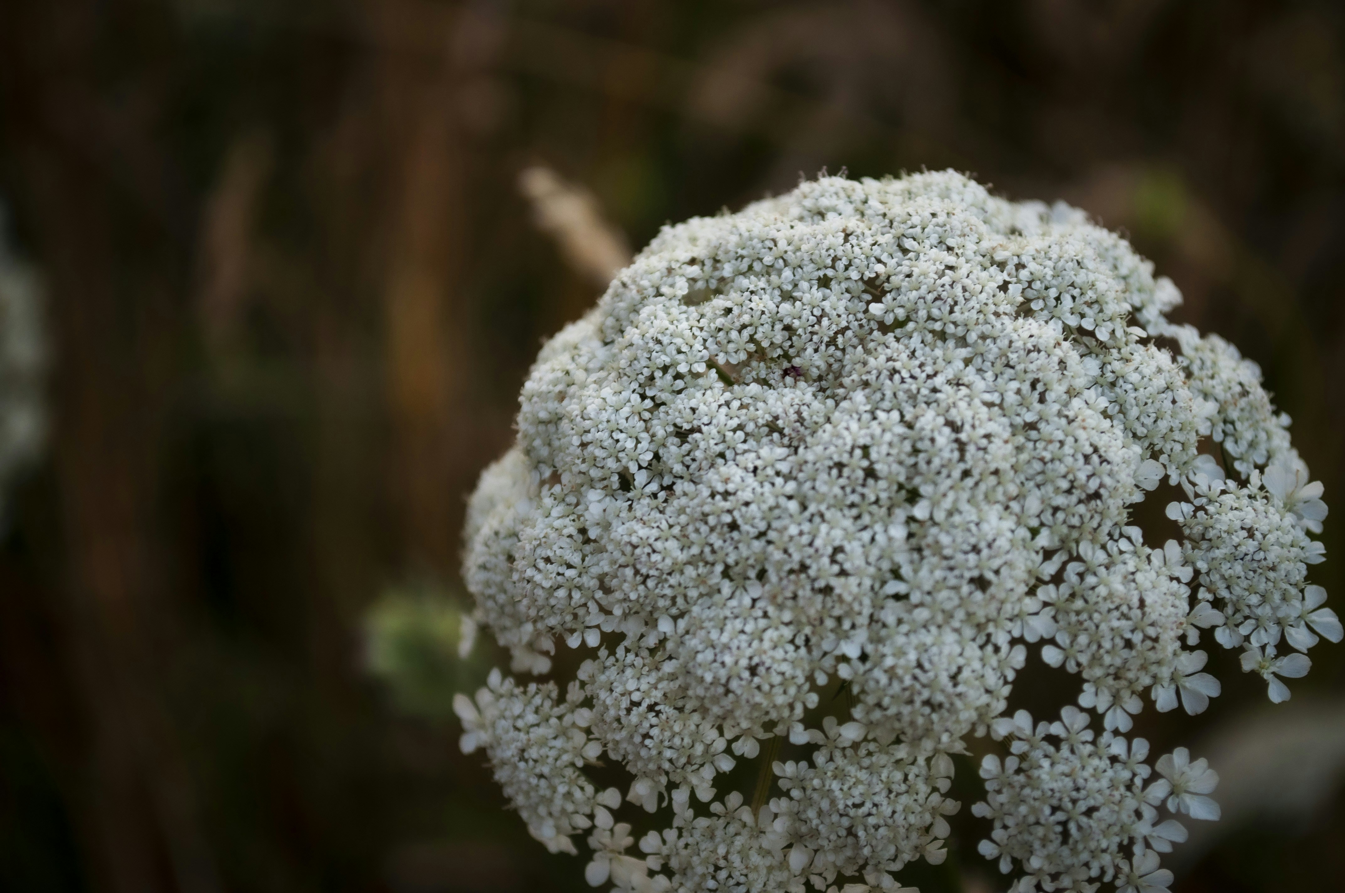 Photo by ben_vaughn_189