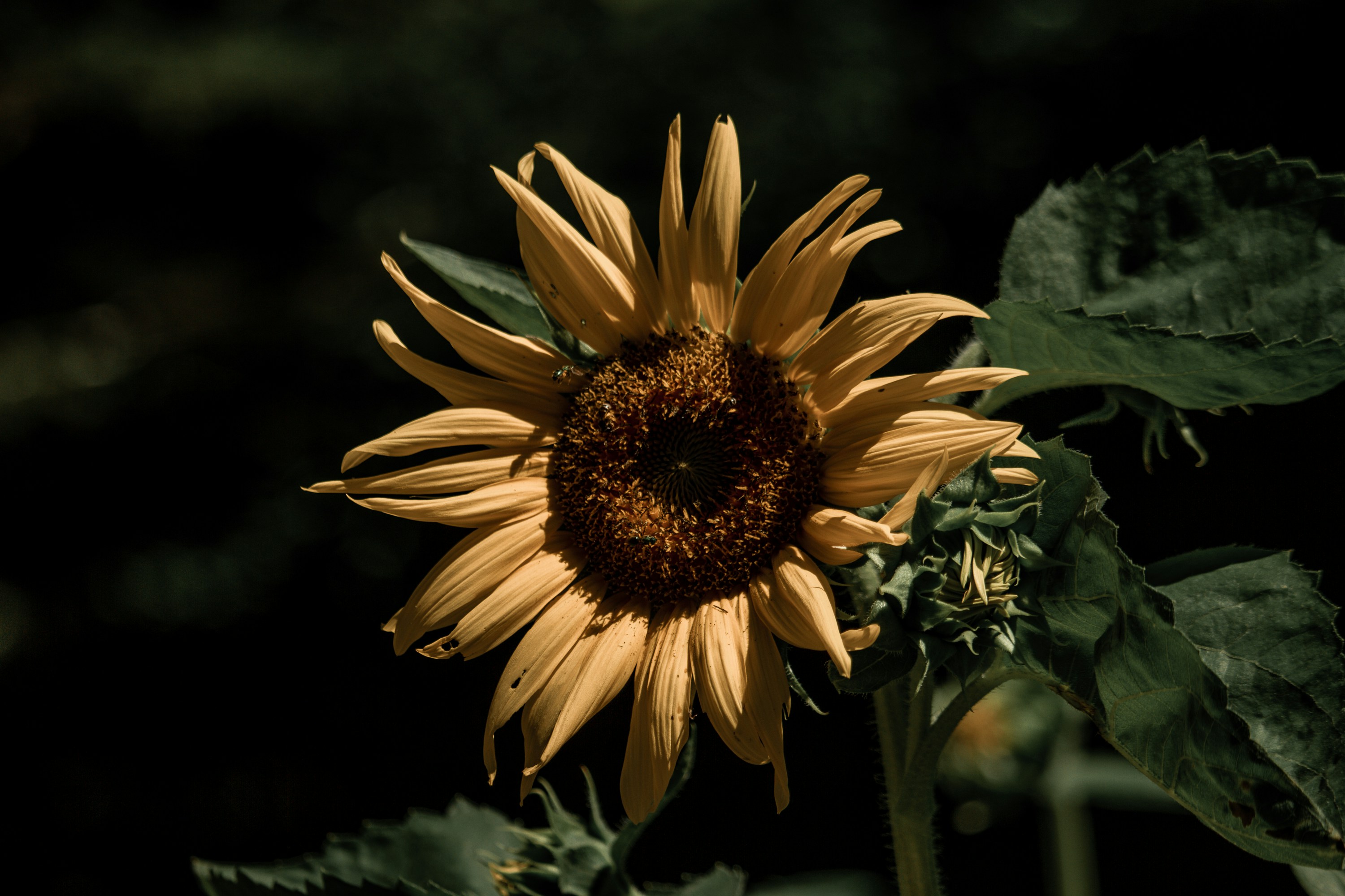 Photo by charitypetras