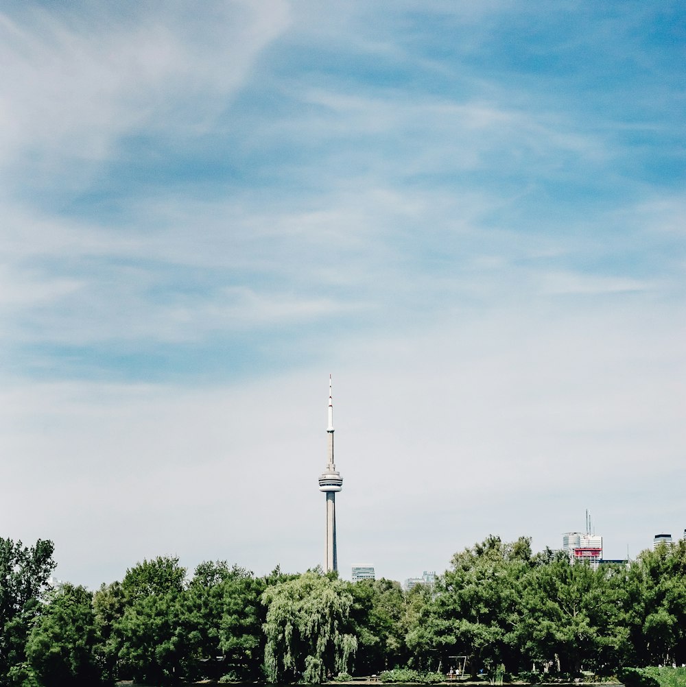 green trees under blue sky during daytime