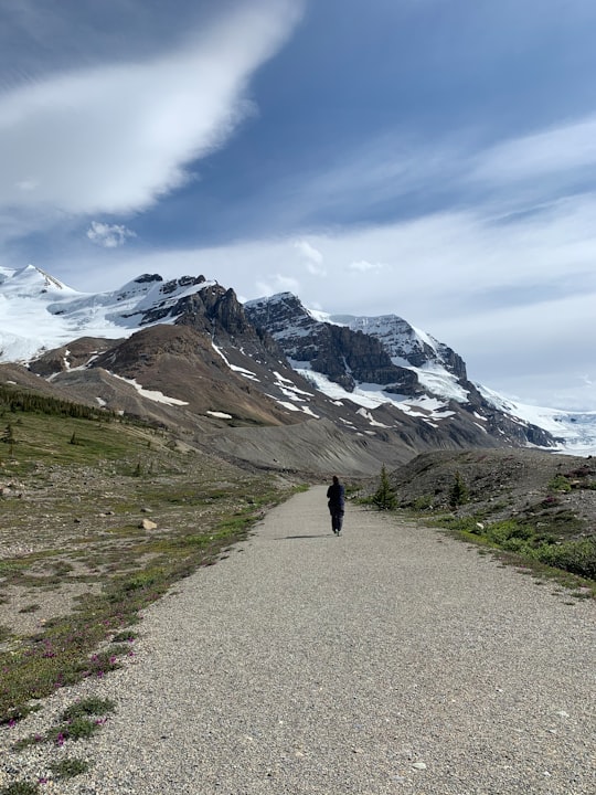 person walking on gray asphalt road near snow covered mountain during daytime in Athabasca Glacier Canada