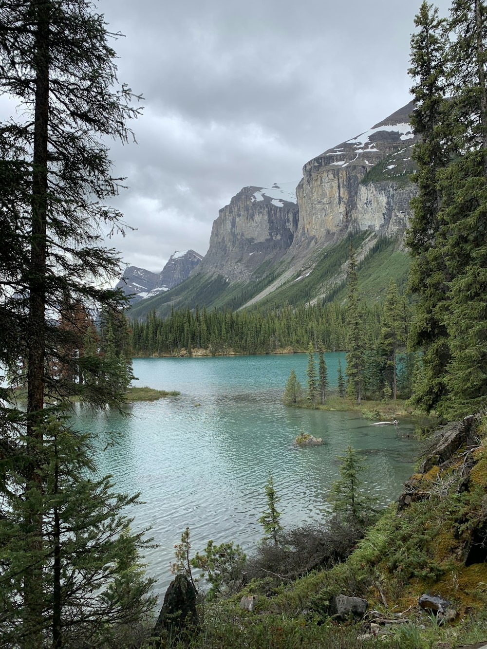 green trees near lake and mountain under white clouds during daytime