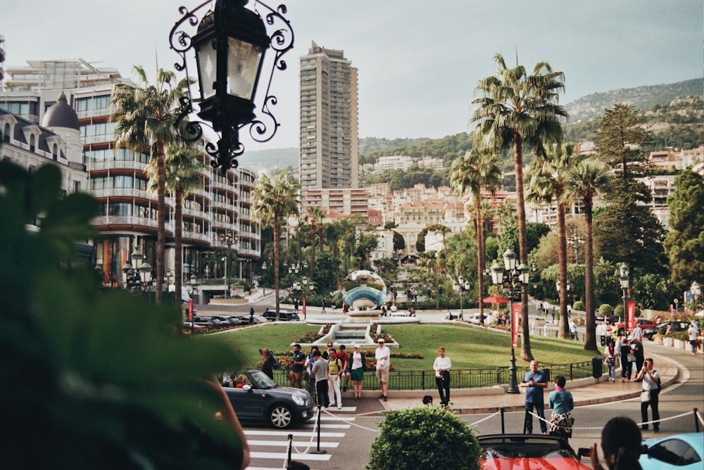 people walking on park during daytime