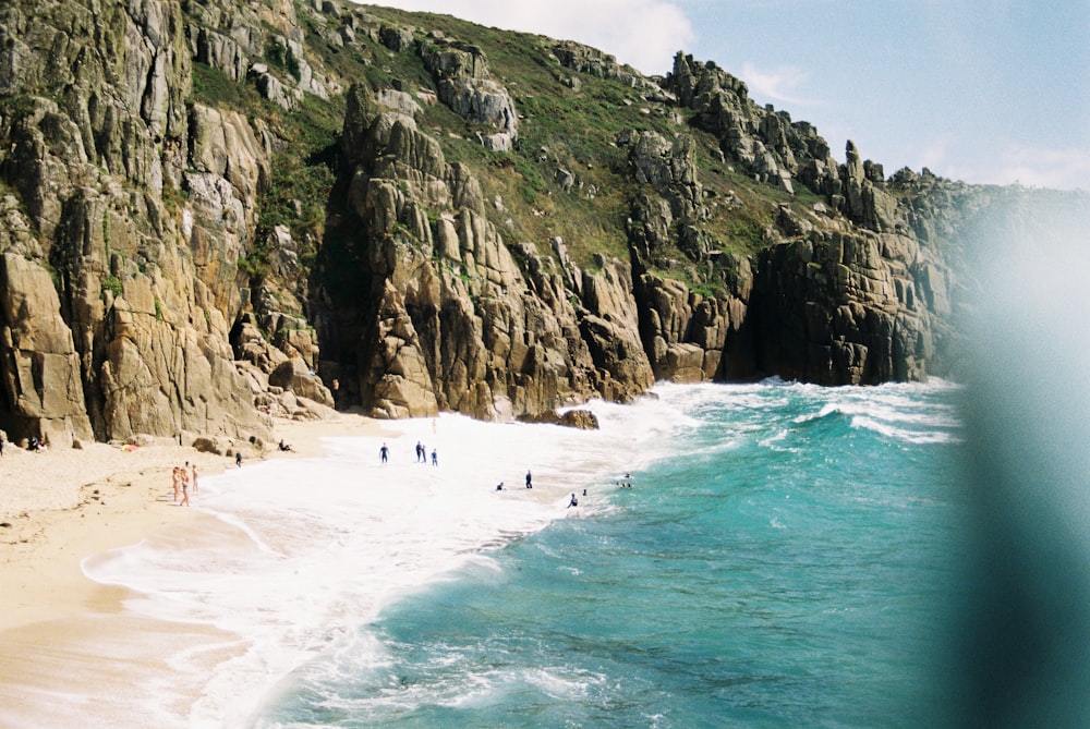 people on beach during daytime