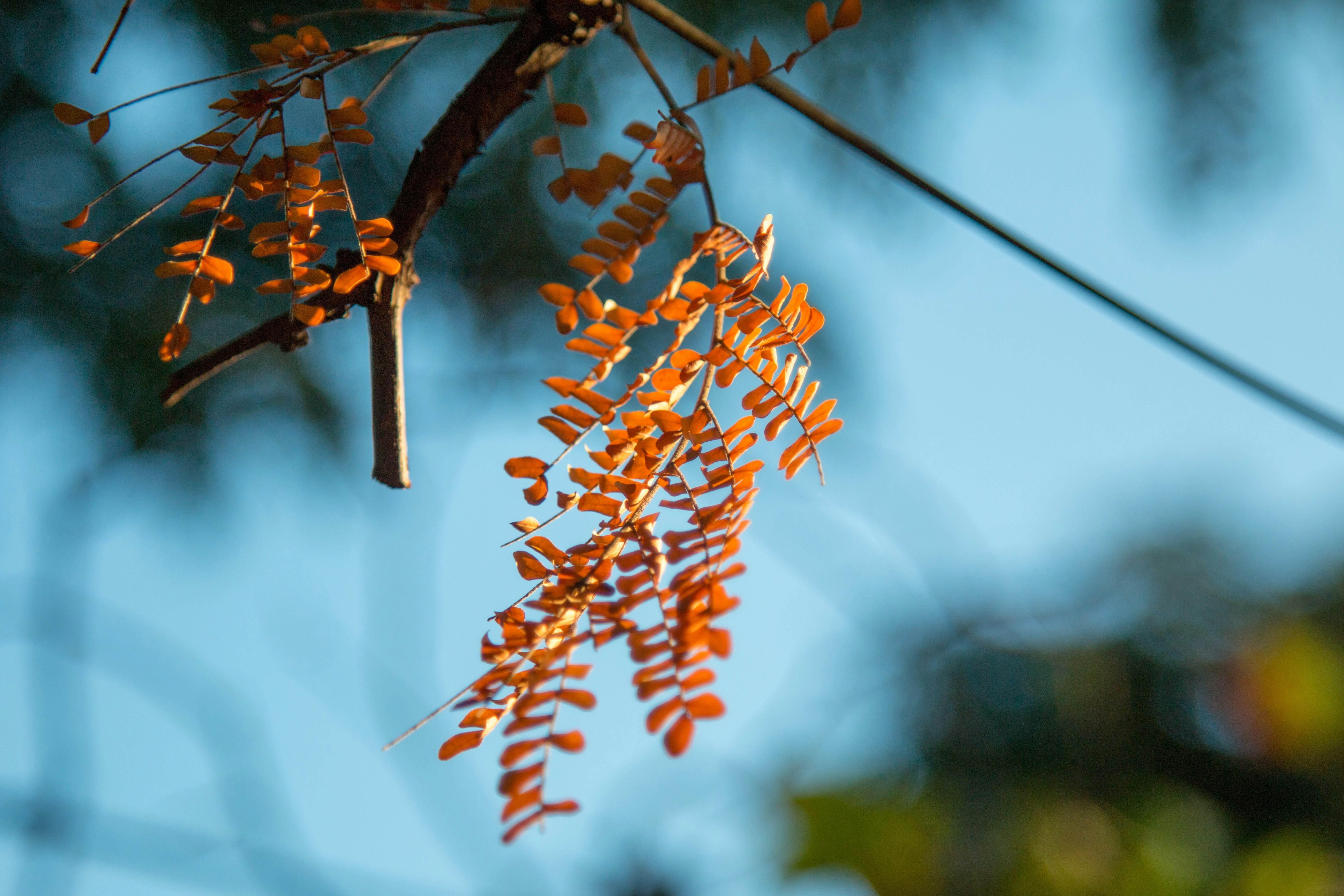 Photo by luoldrigues