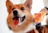 A joyful dog wearing a colorful carnival costume surrounded by balloons and happy families.