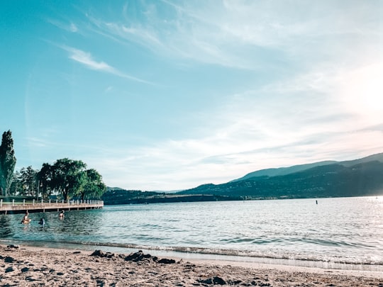 green trees near body of water under blue sky during daytime in Kelowna Canada