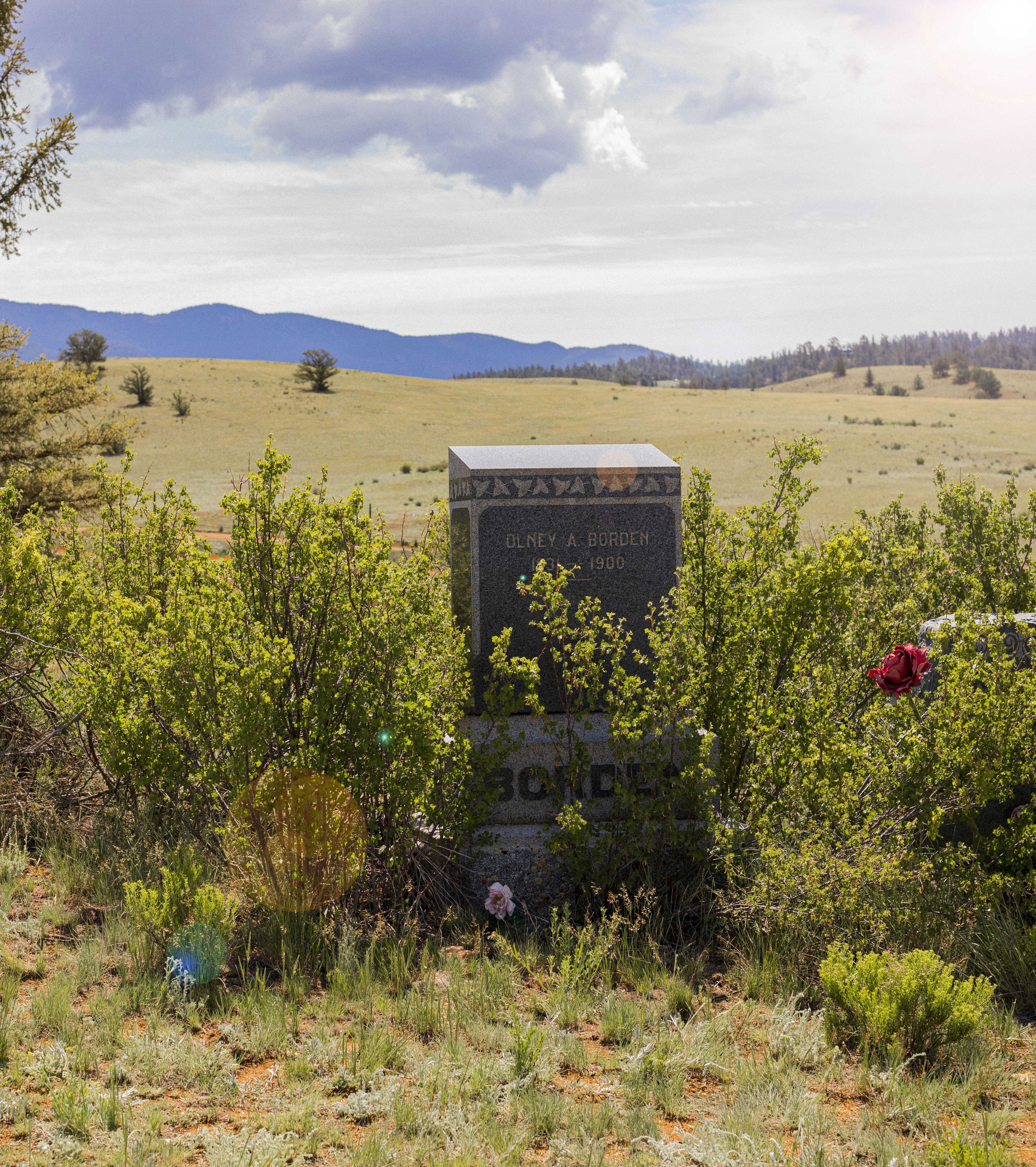 green grass field under blue sky during daytime
