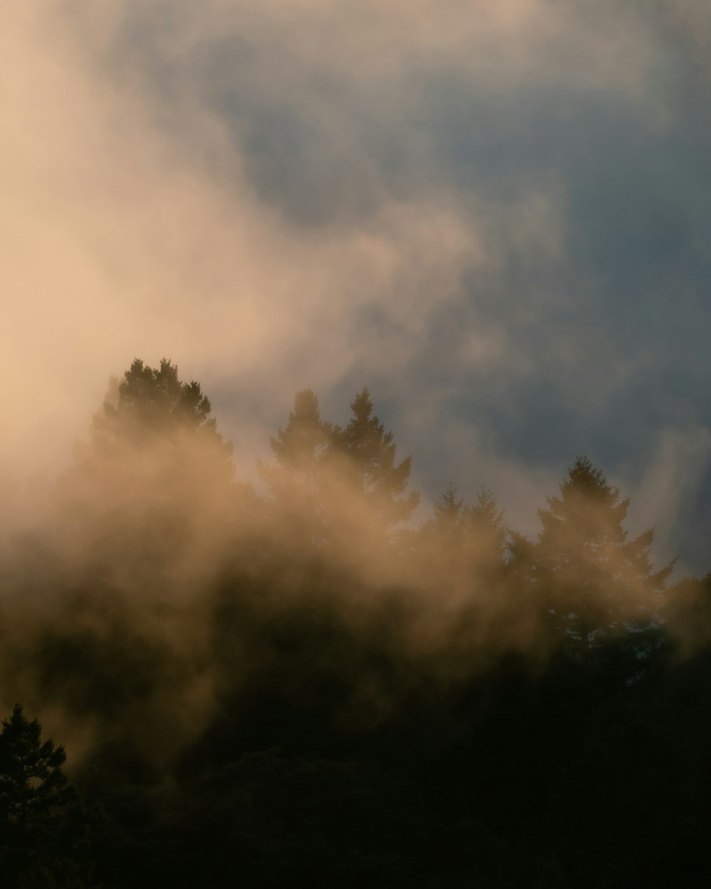 green trees under white clouds