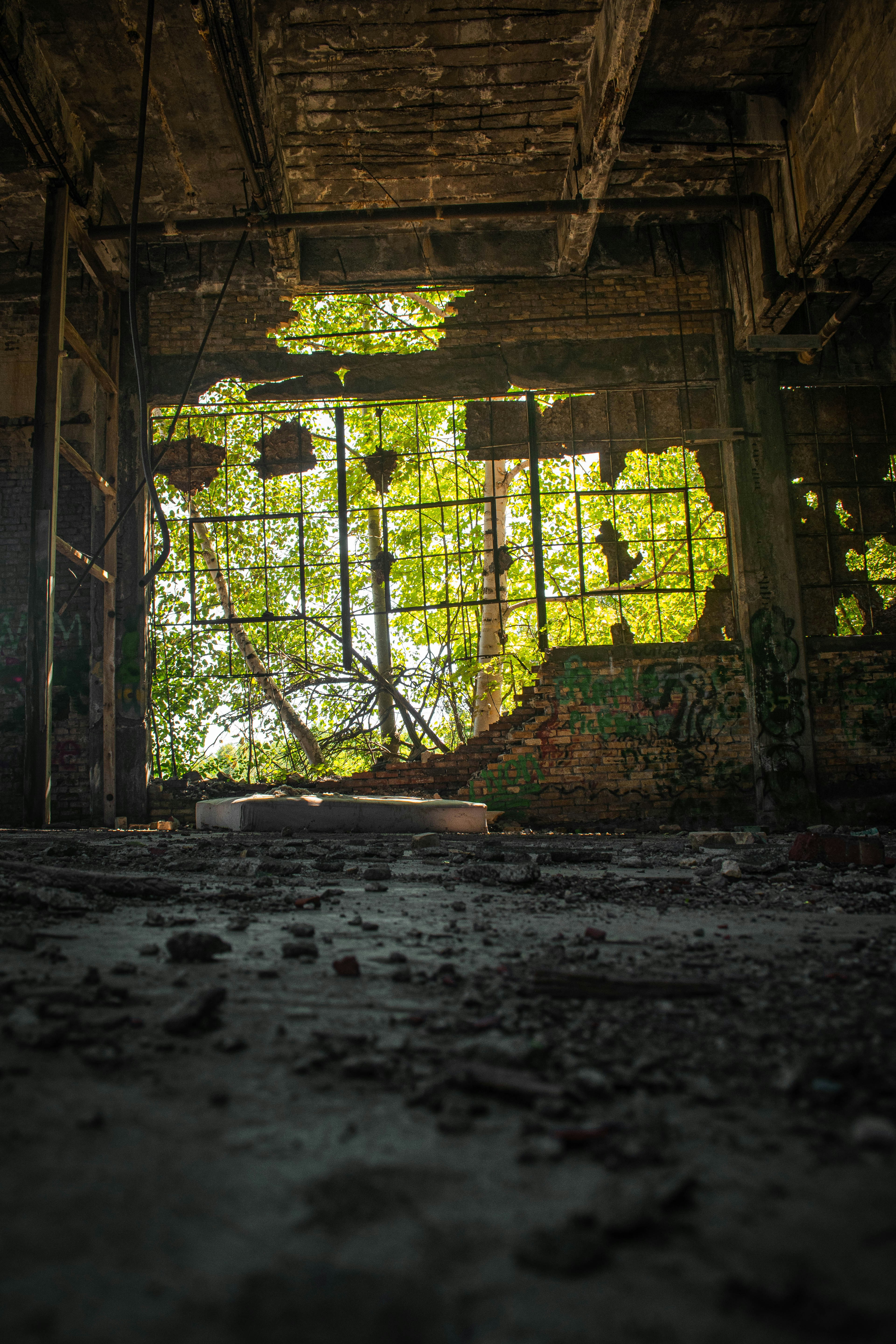 Photo by jey_photography