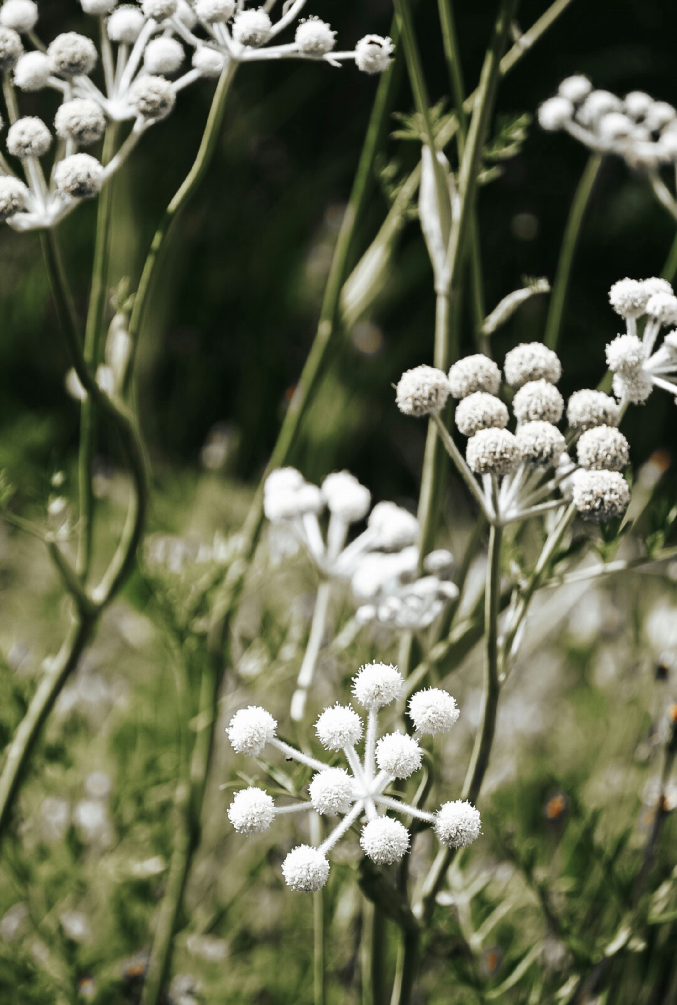 Photo by thalia_s_ruiz