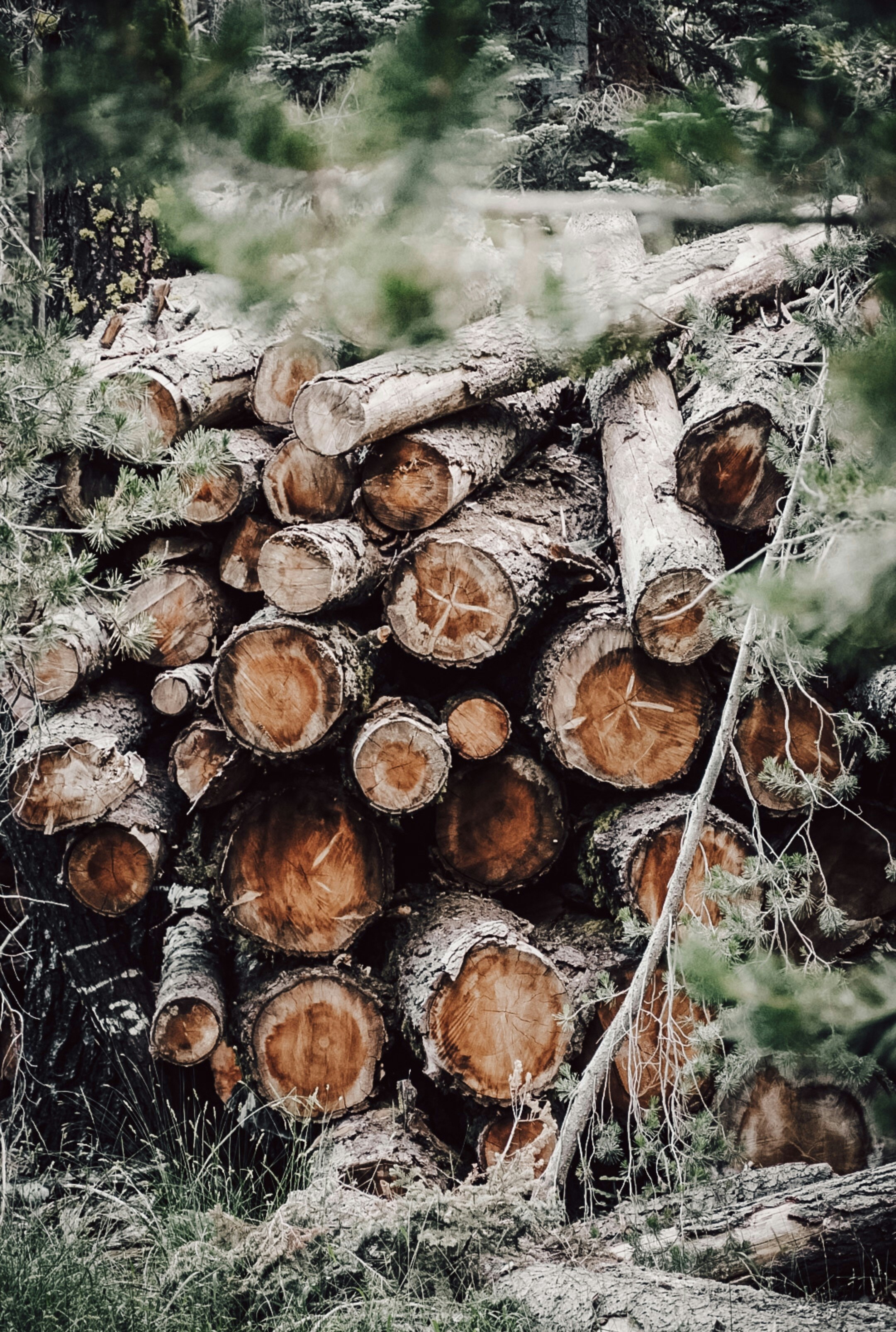 Photo by thalia_s_ruiz