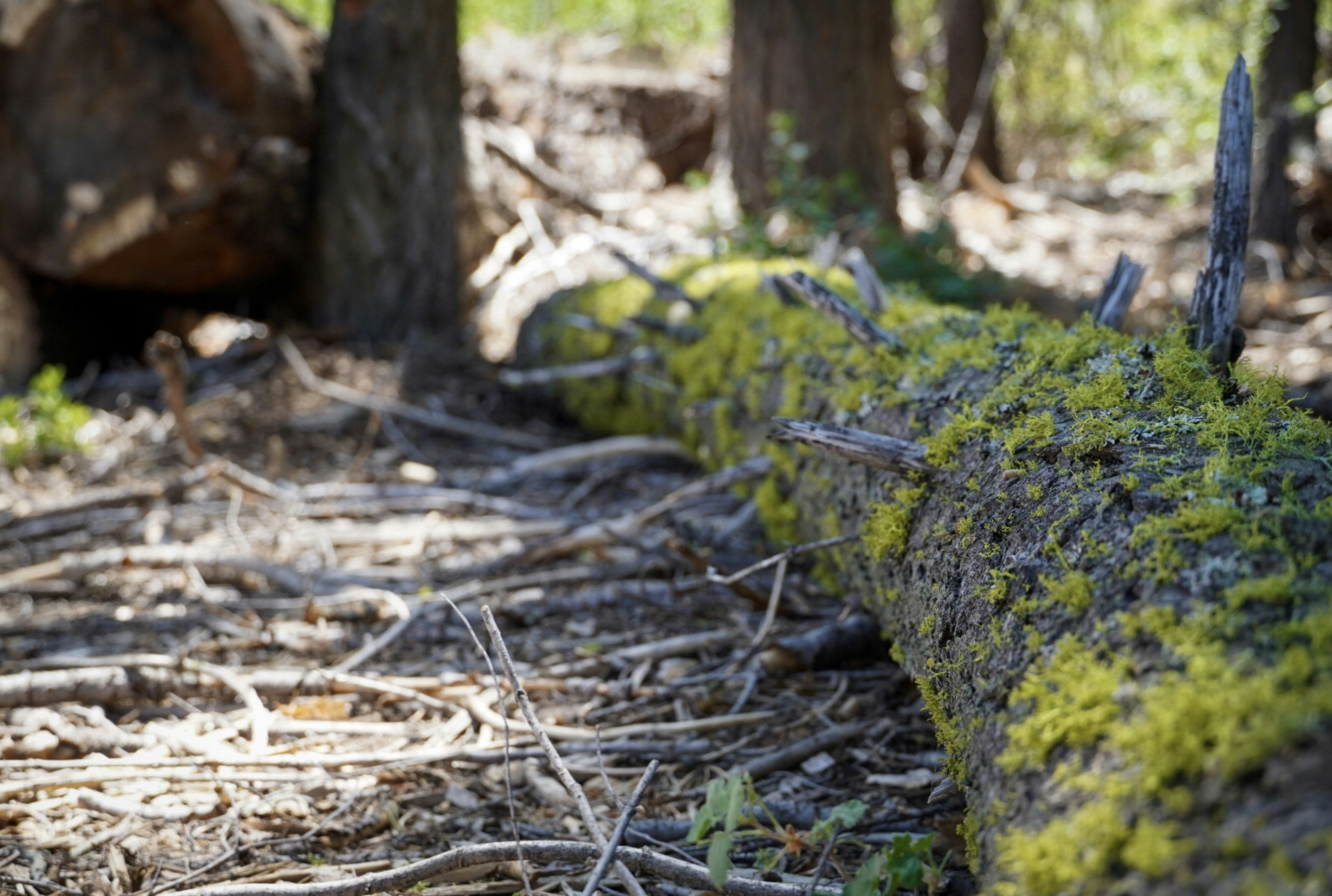 Photo by thalia_s_ruiz