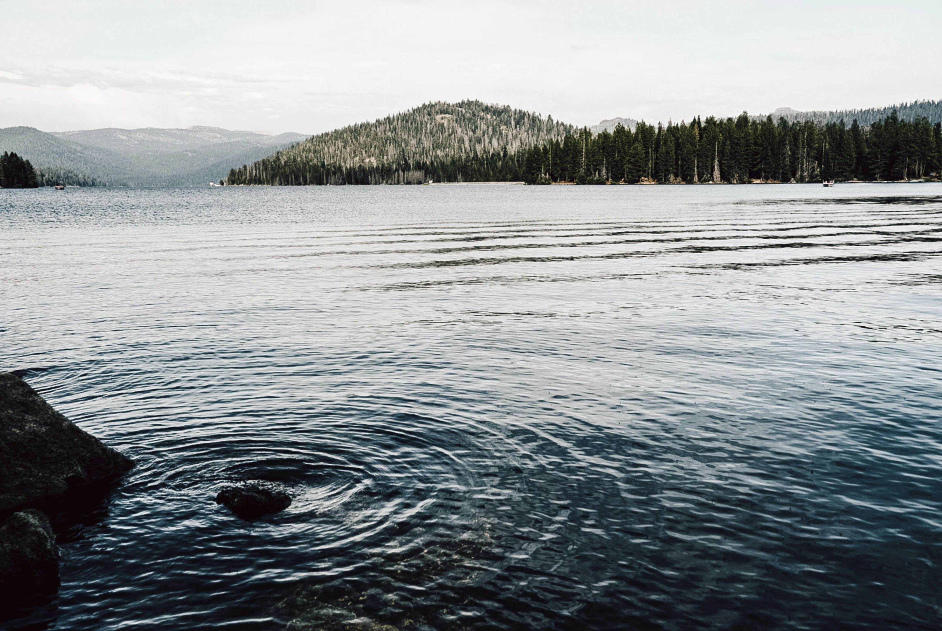 Photo by thalia_s_ruiz