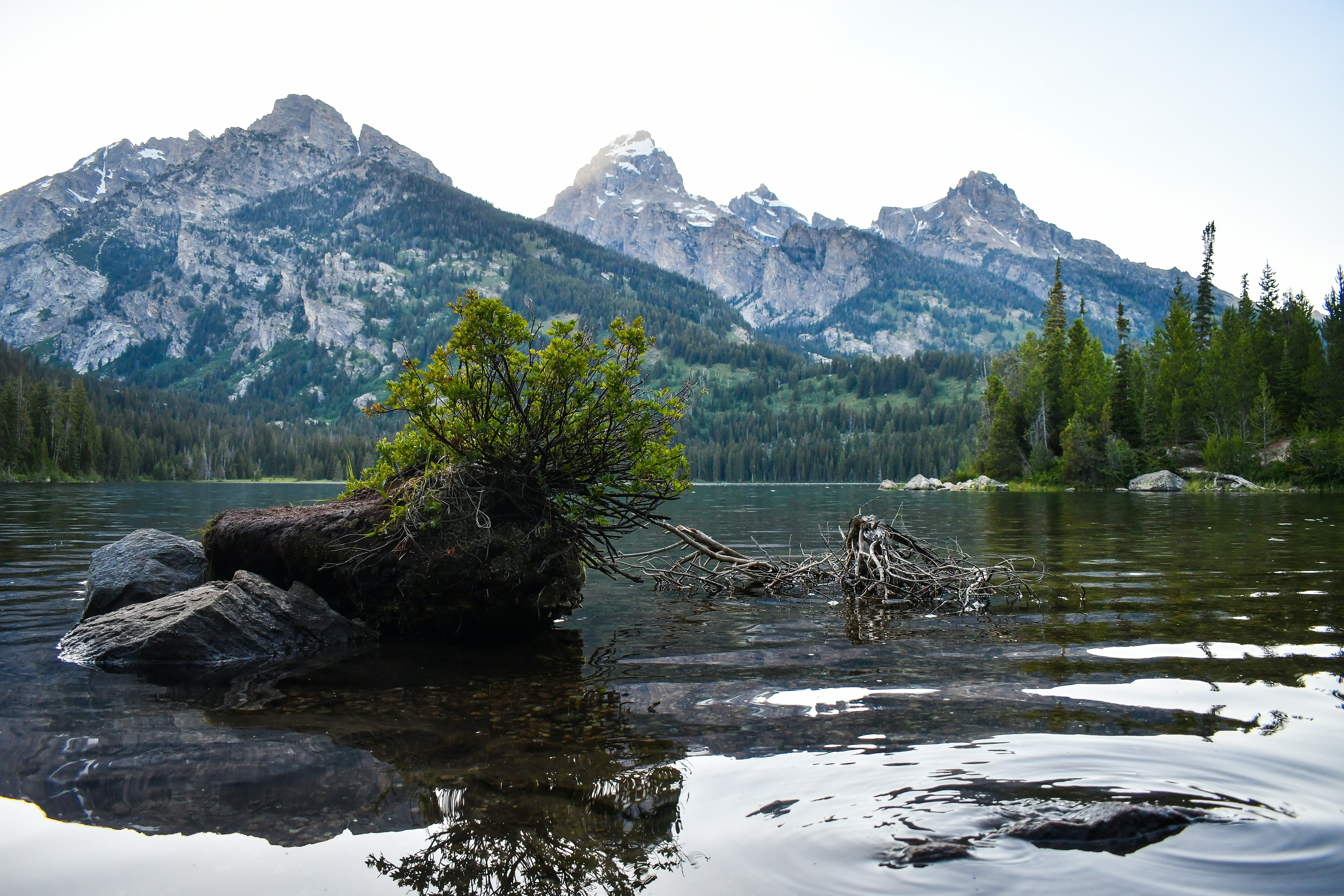 Photo by jackcharles