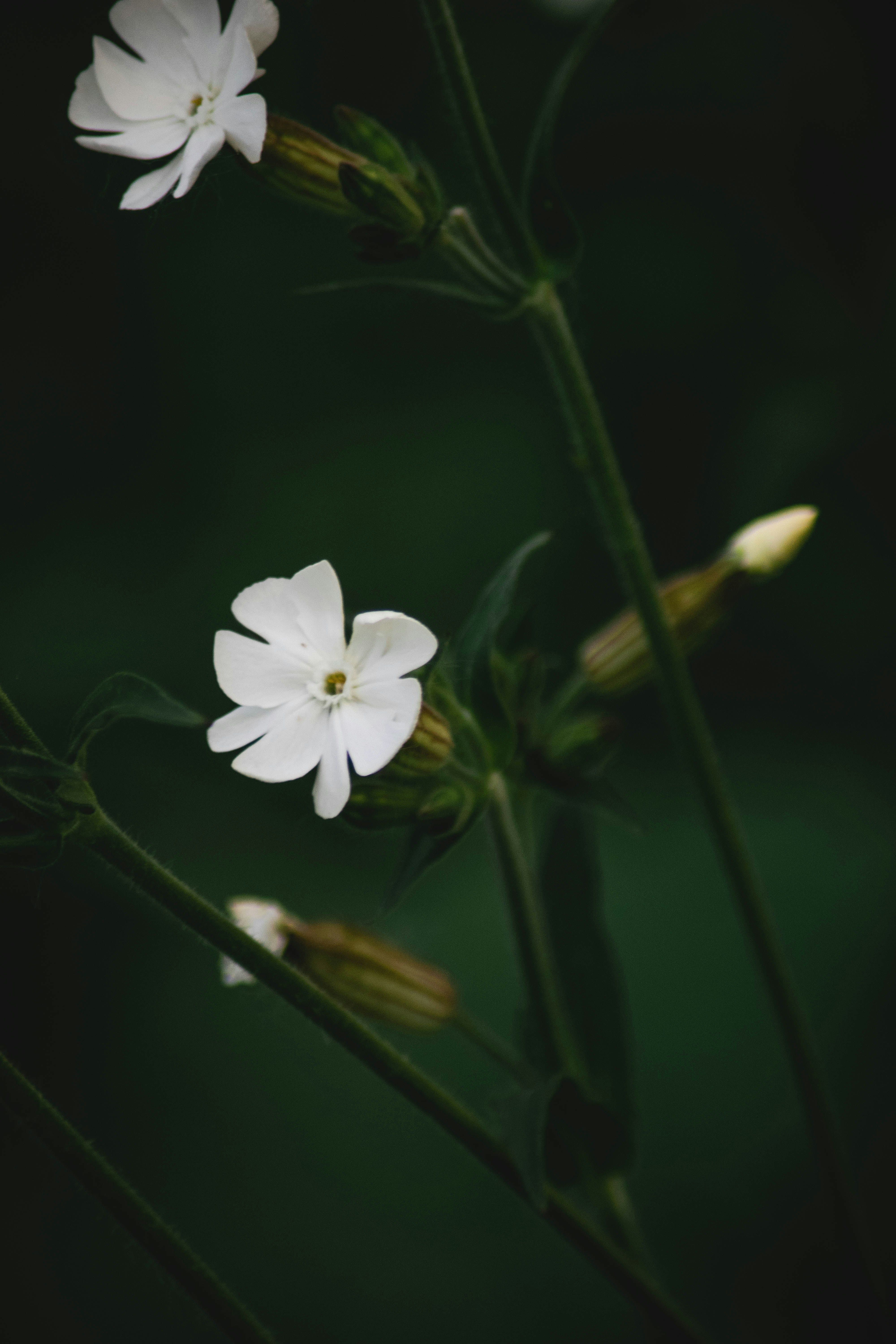 Photo by jey_photography