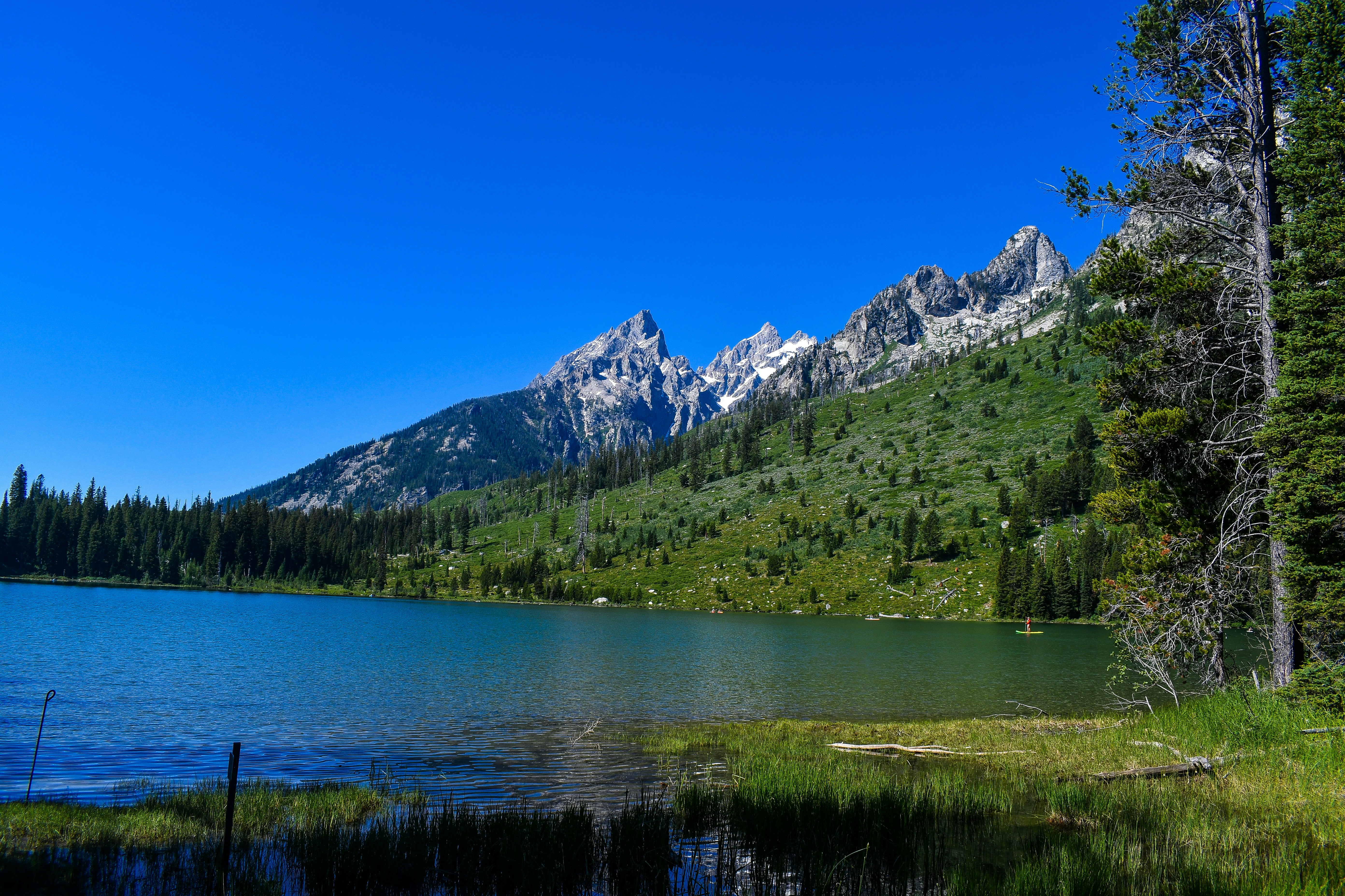 Photo by jackcharles