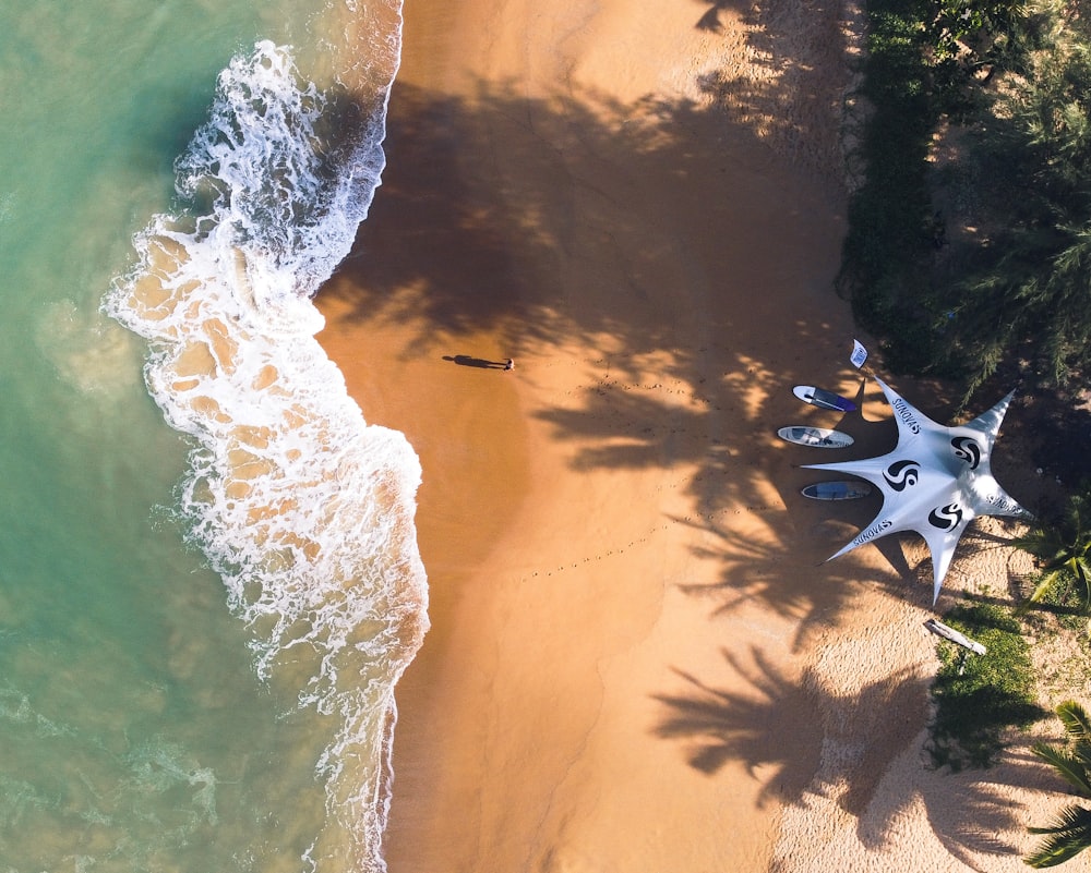 aerial view of people surfing on sea waves during daytime