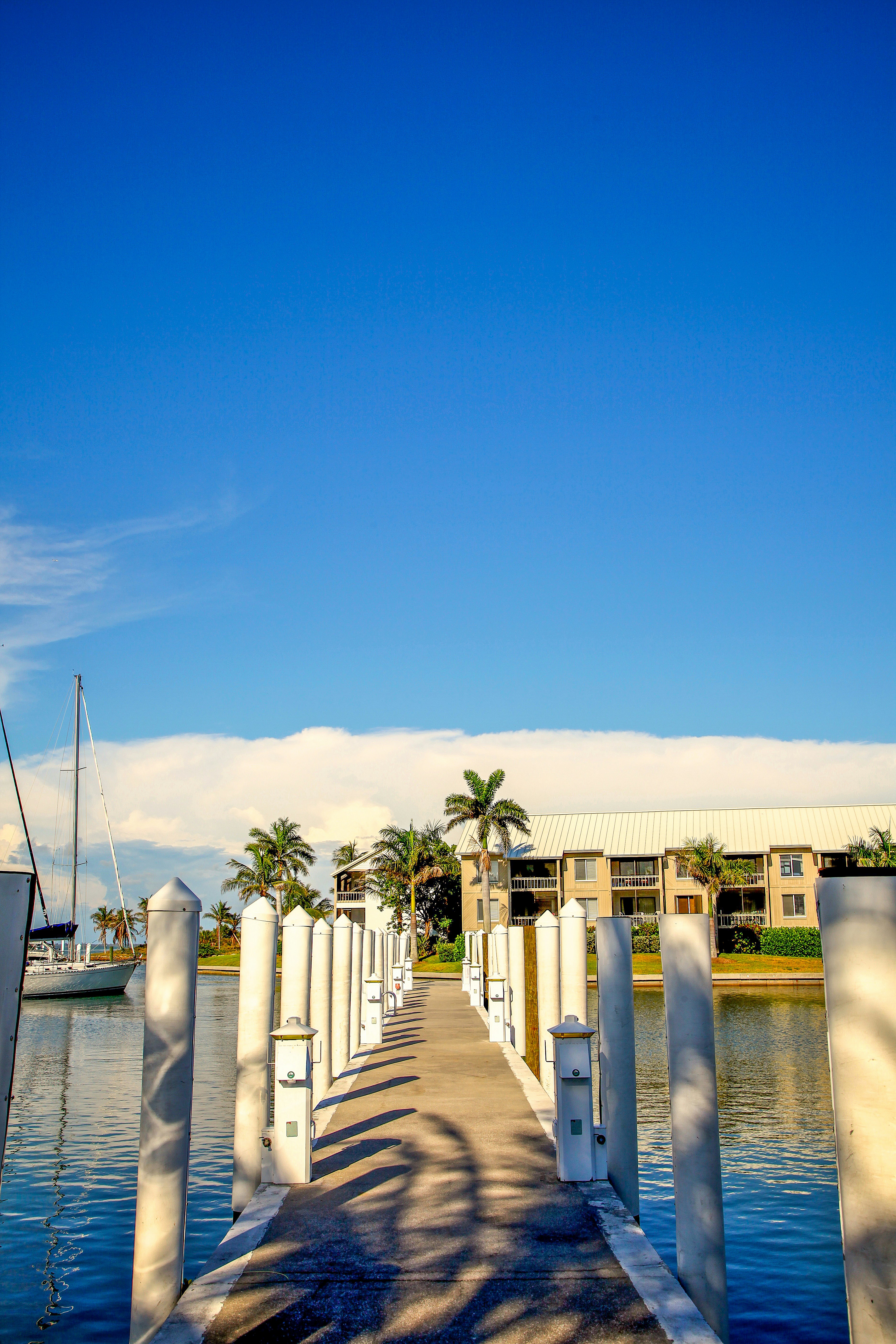 Photo by jamesplewis