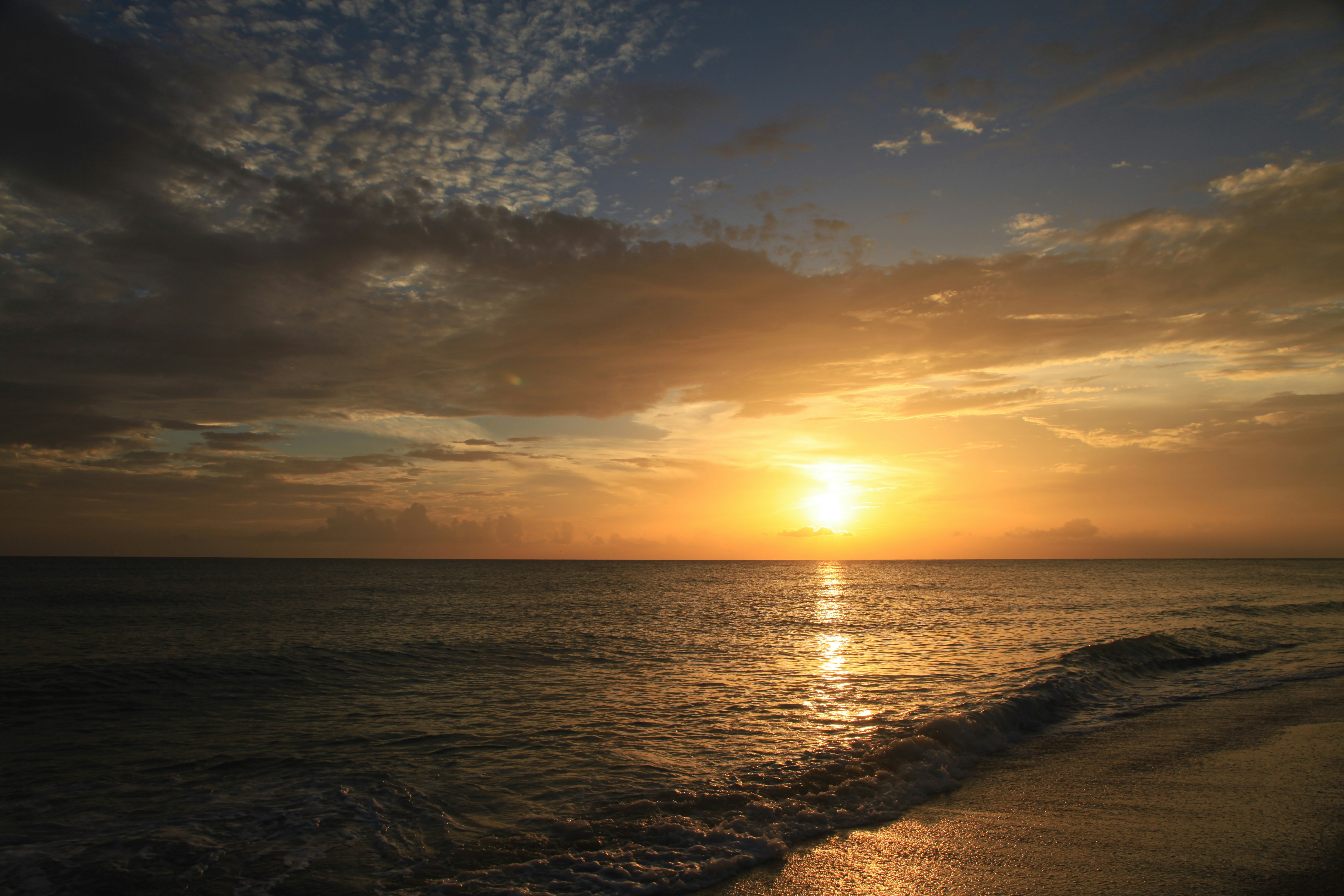 Photo by jamesplewis