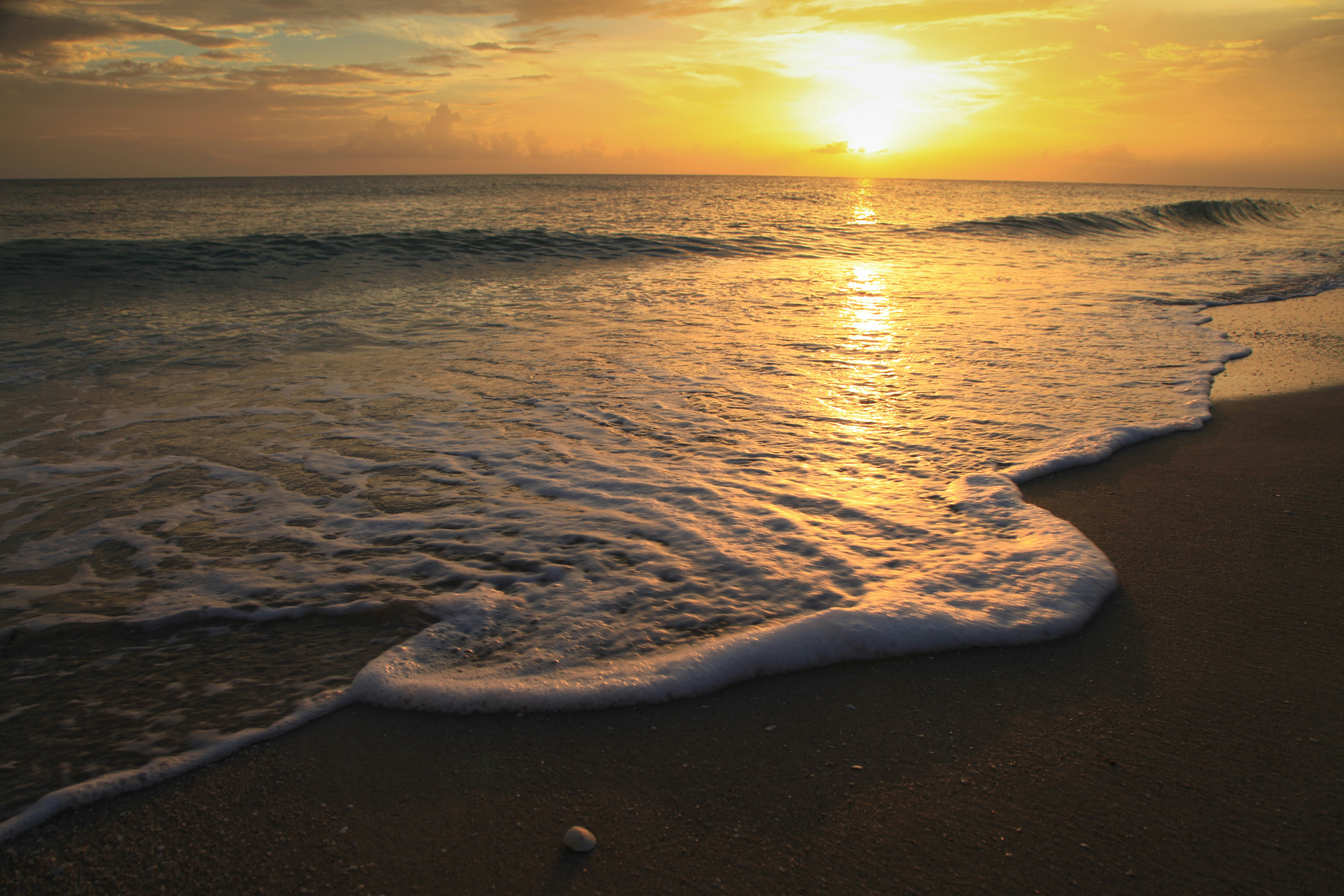 Photo by jamesplewis