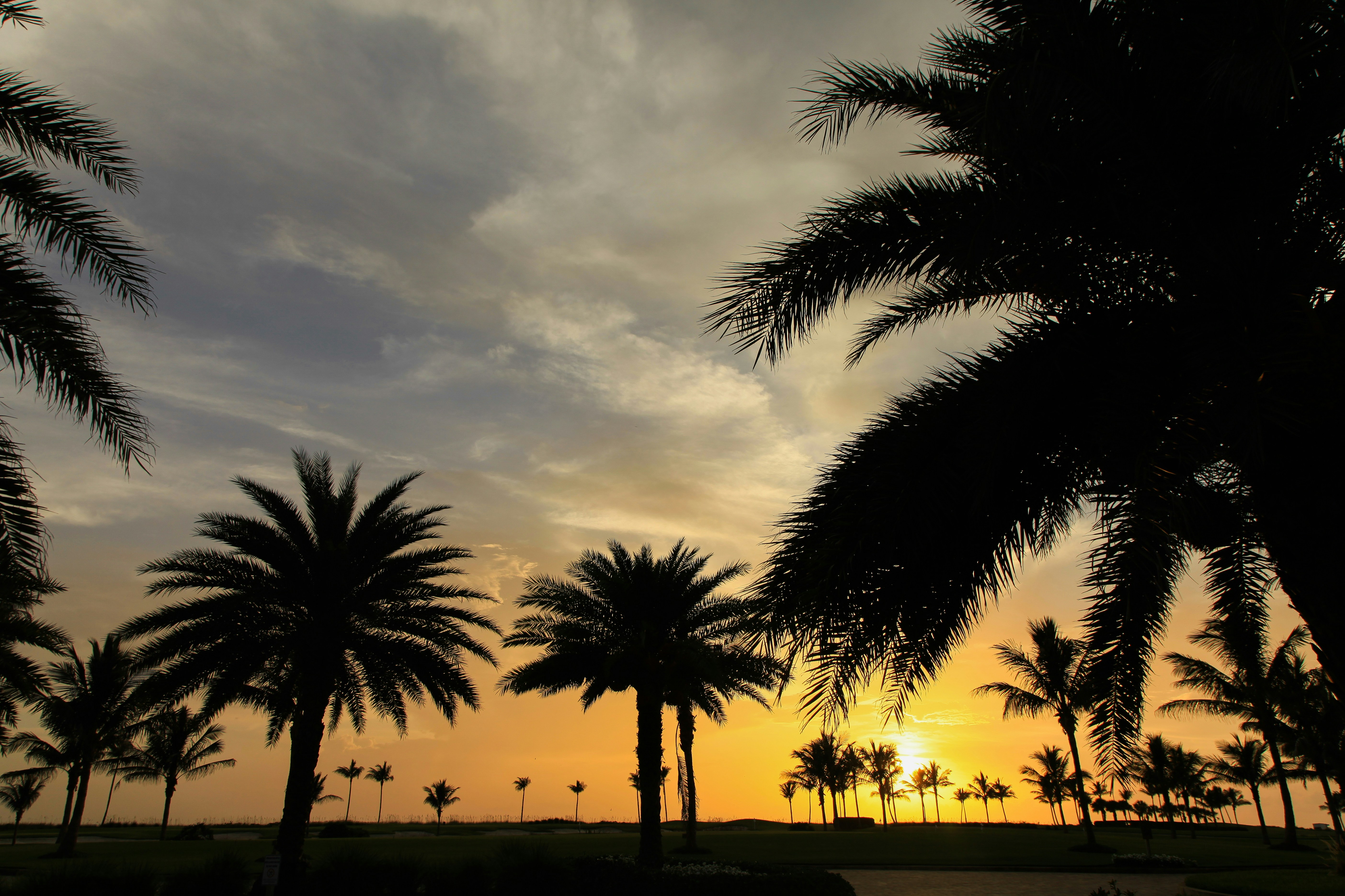 Photo by jamesplewis