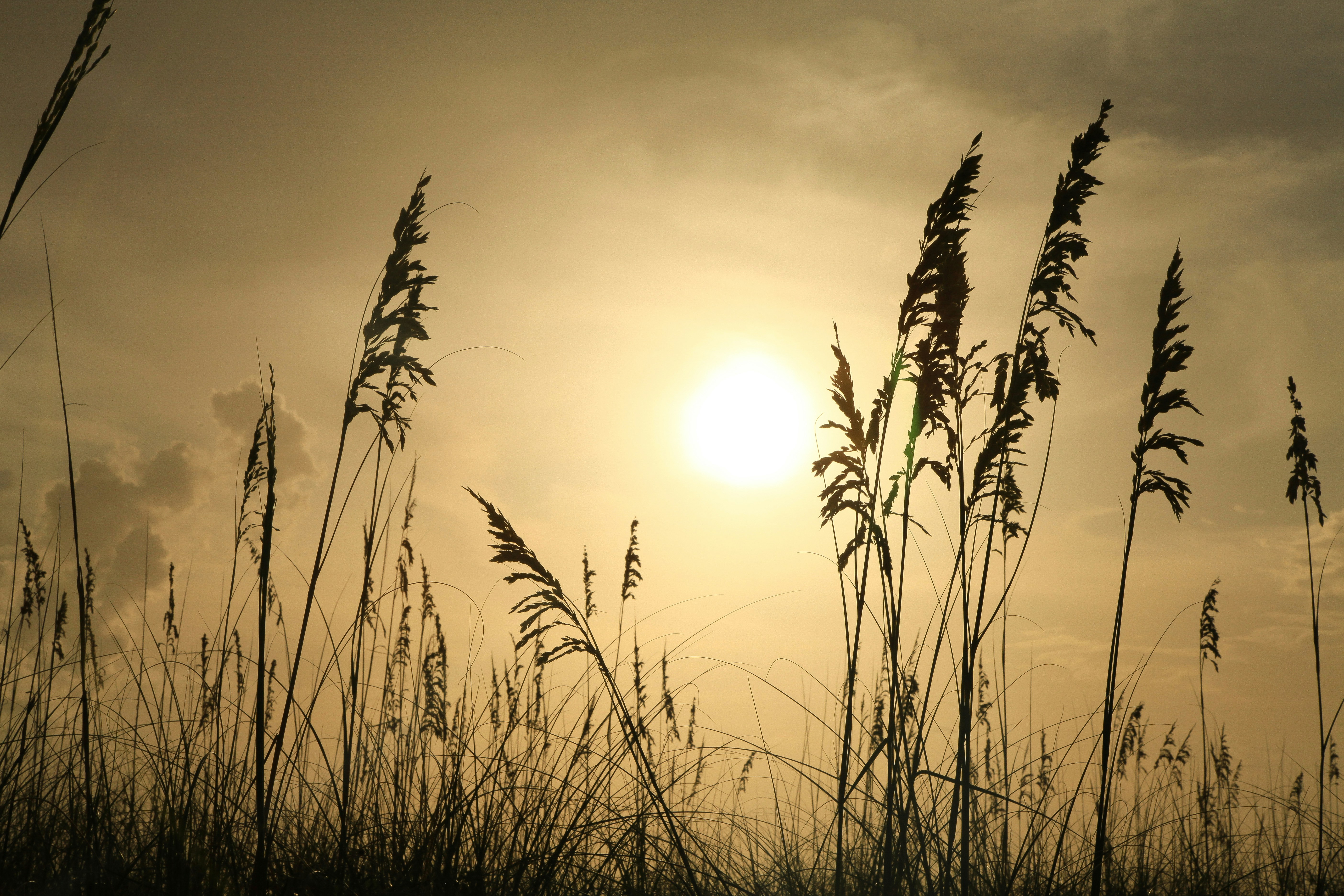 Photo by jamesplewis