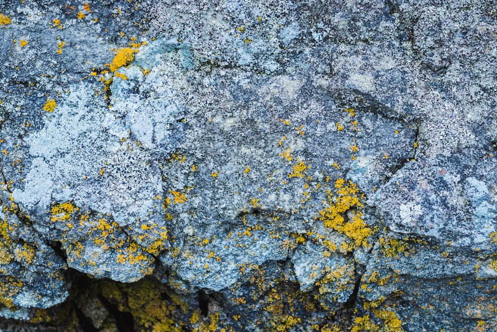 gray and black stone fragments