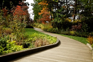 gray concrete road between green and brown trees during daytime