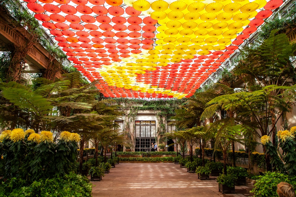 farolillos de papel rojos, amarillos y rosas