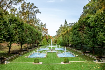 green grass field with fountain in the middle of the forest