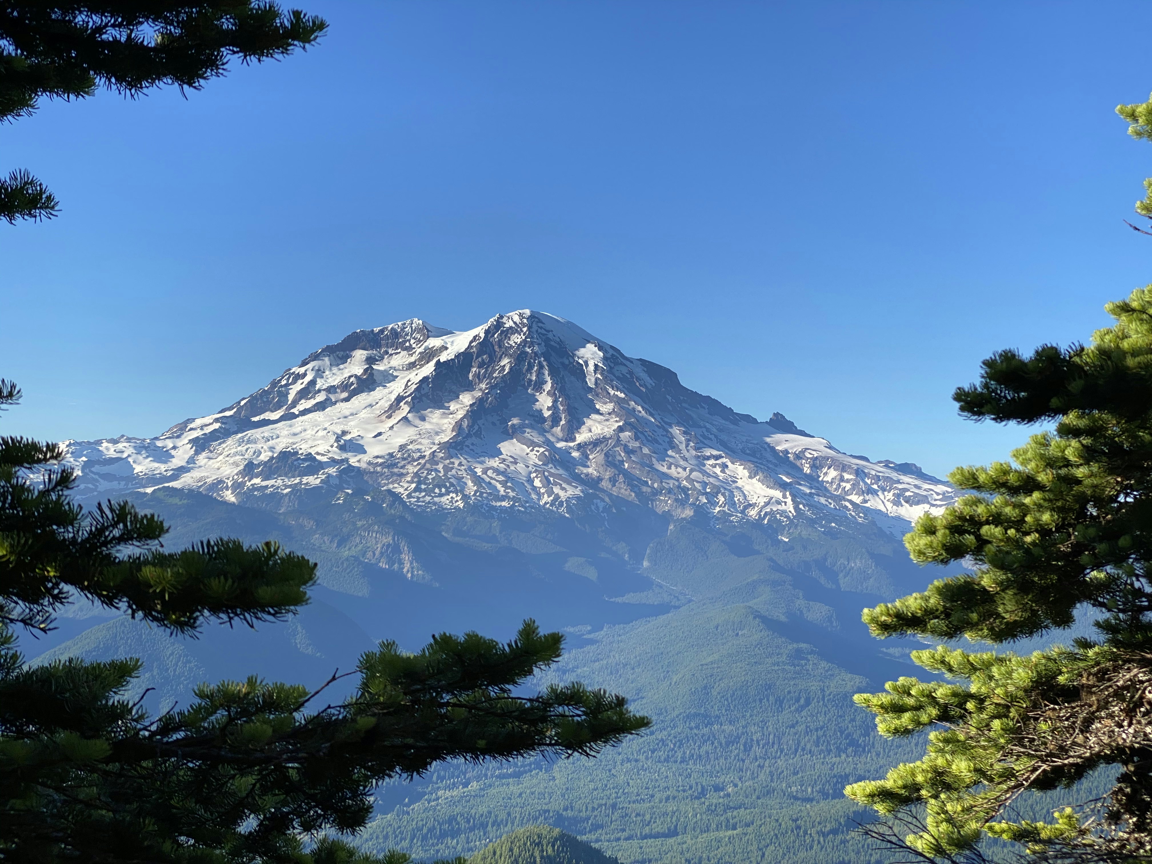 Photo by brewingcats