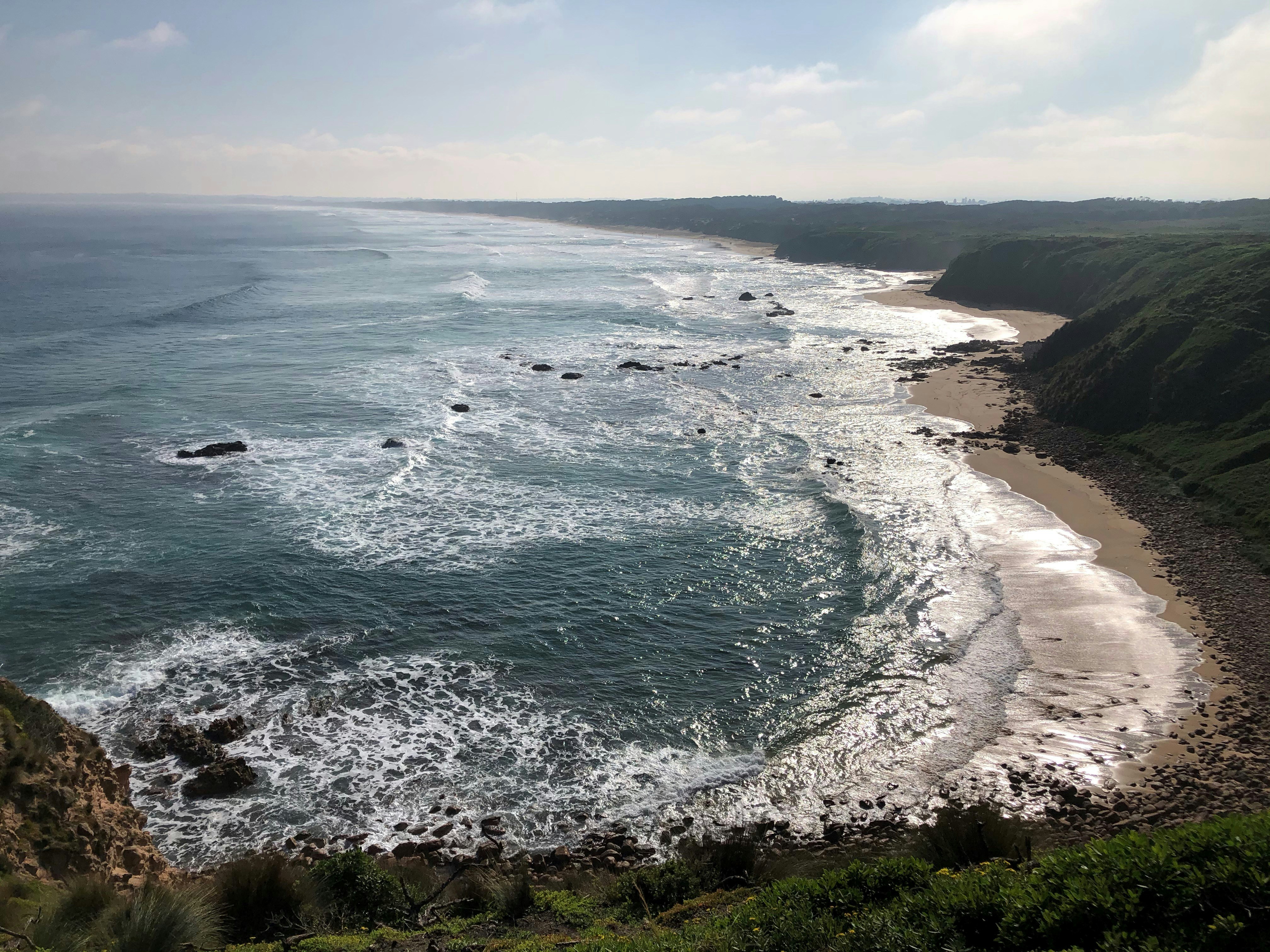 Photo by choona_fish