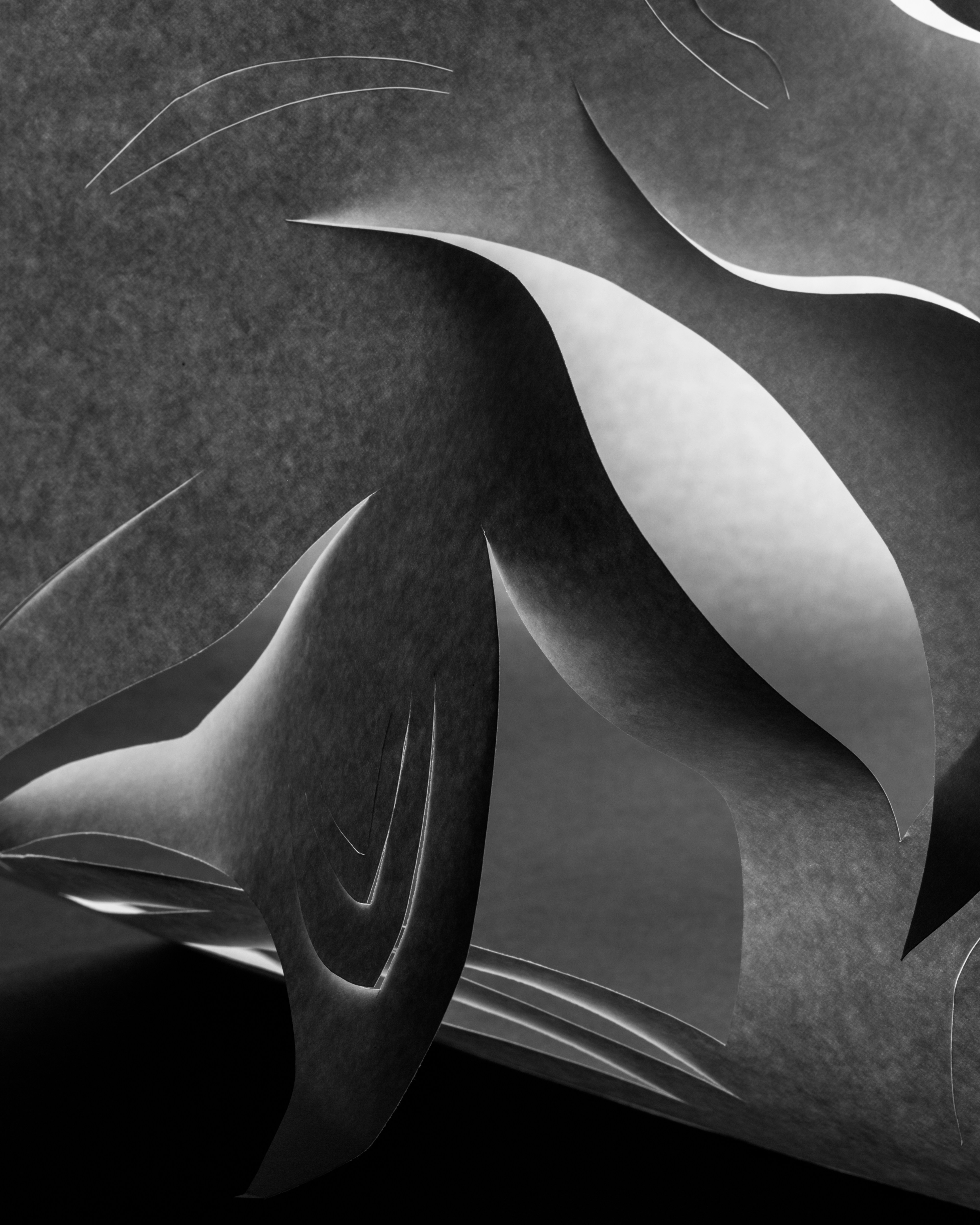 Photo by jamesplewis