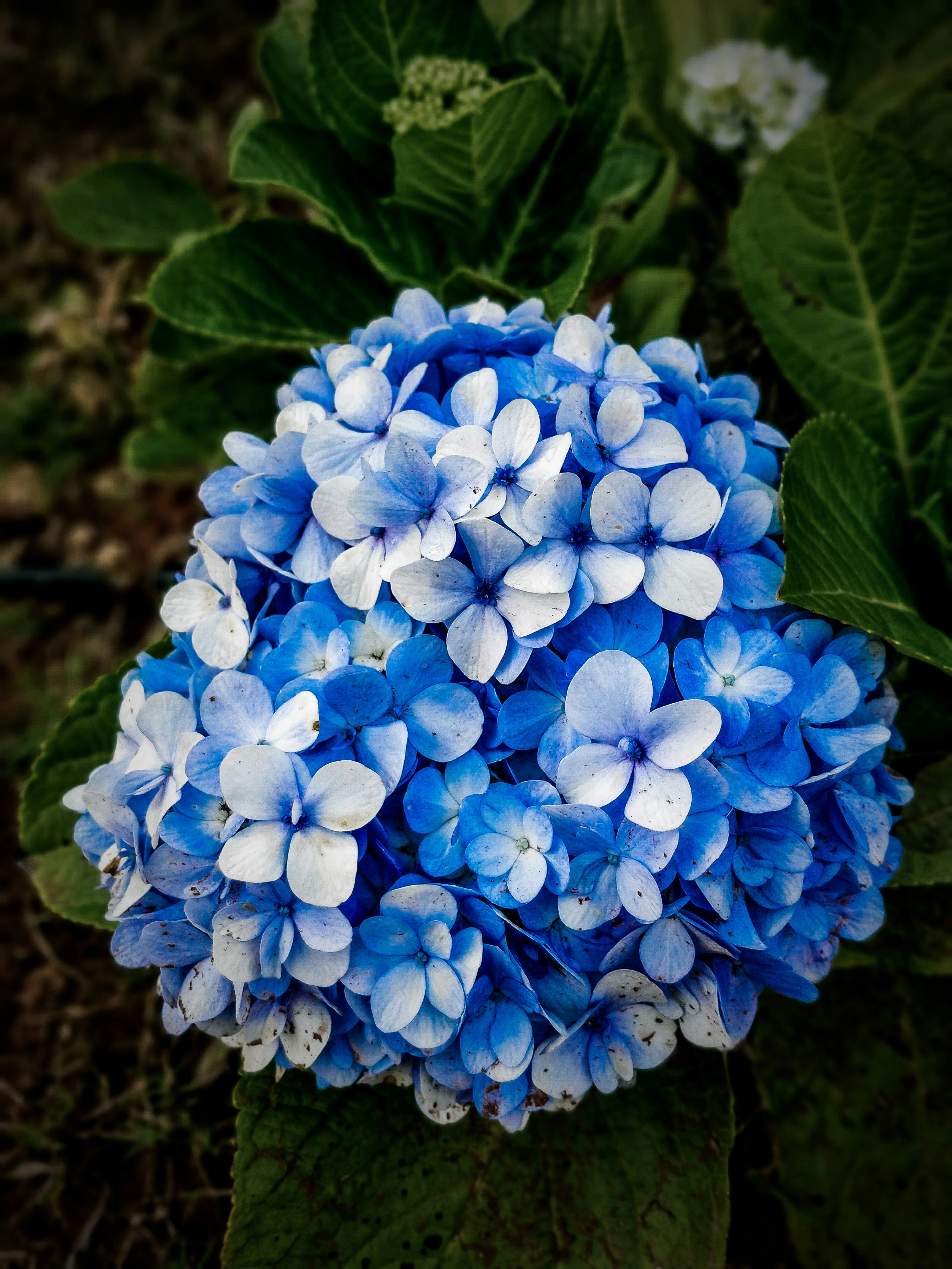 Photo by vedantnirmal21