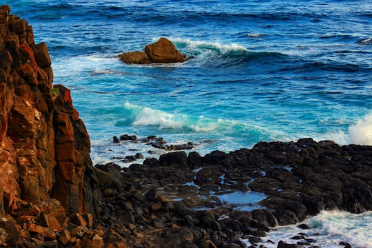 brown rocky shore with ocean waves crashing on rocks during daytime in Phillip Island Australia
