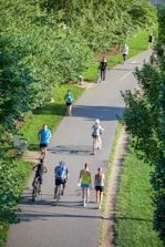 A park path is filled with people engaging in various activities. Some are jogging, some walking in pairs, and others are riding bicycles. The path is lined with lush green trees and grass, creating a lively, natural atmosphere. It's a sunny day, and the scene conveys the vibrancy of an outdoor recreational space.