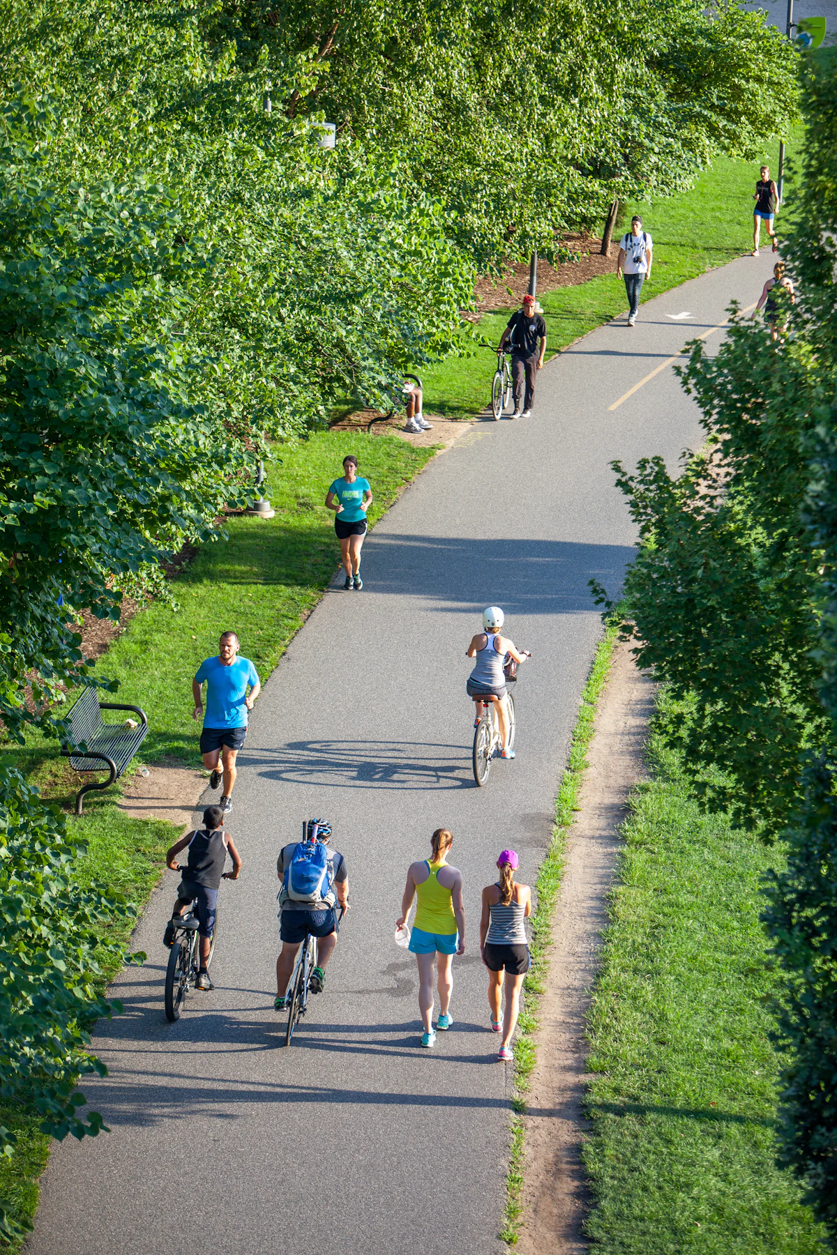 Cyclists on a road on a sunny day