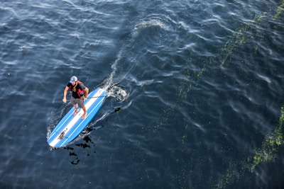 A person is paddleboarding on a large body of dark blue water. The paddleboard is mainly blue with white stripes, and the individual is holding a paddle while standing barefoot. The person is wearing a hat and a t-shirt. The water surface has visible movement with some patches of green vegetation or algae floating around.