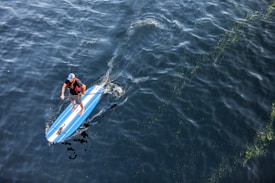 A person is paddleboarding on a large body of dark blue water. The paddleboard is mainly blue with white stripes, and the individual is holding a paddle while standing barefoot. The person is wearing a hat and a t-shirt. The water surface has visible movement with some patches of green vegetation or algae floating around.