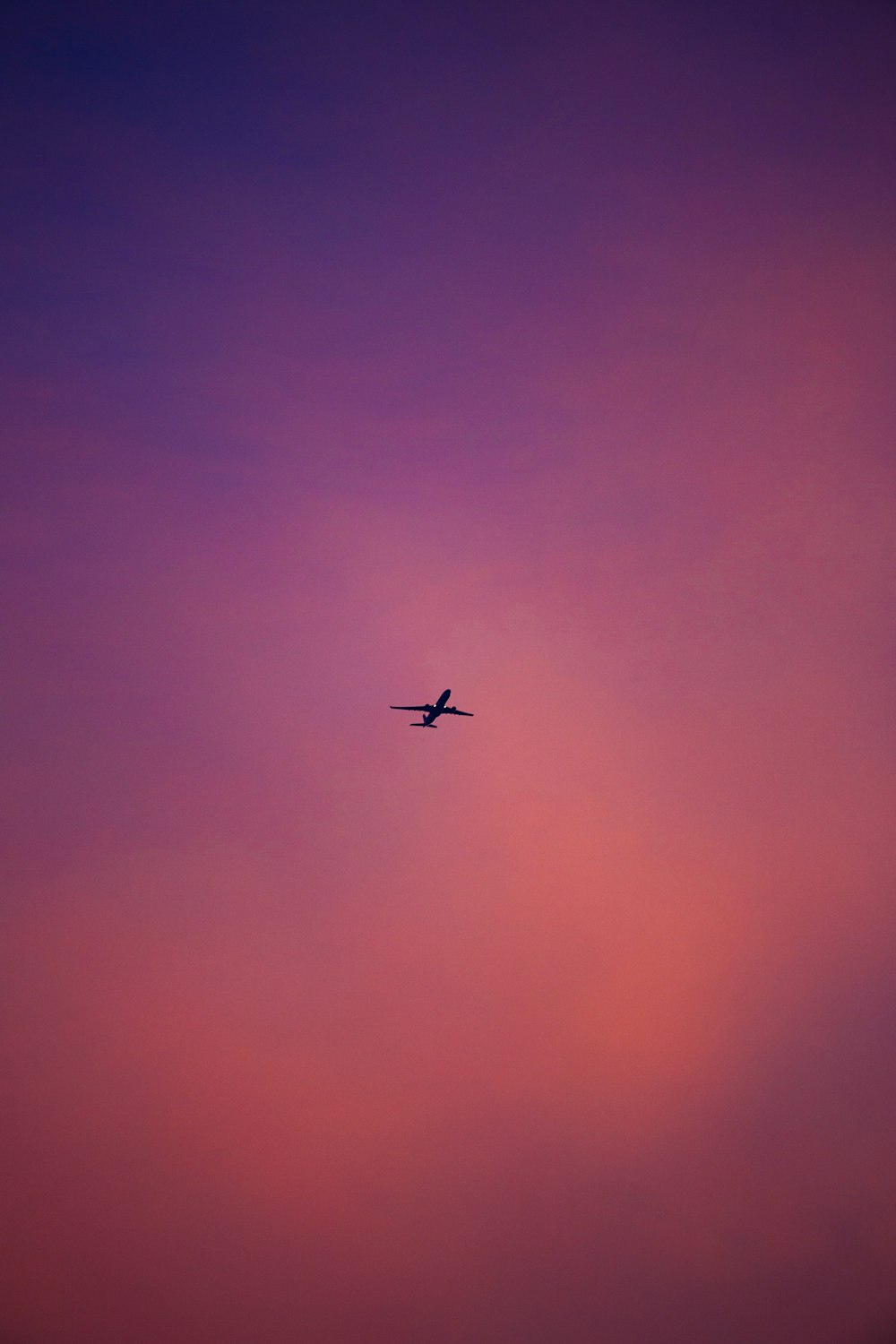 Flugzeug in der Luft während des Tages