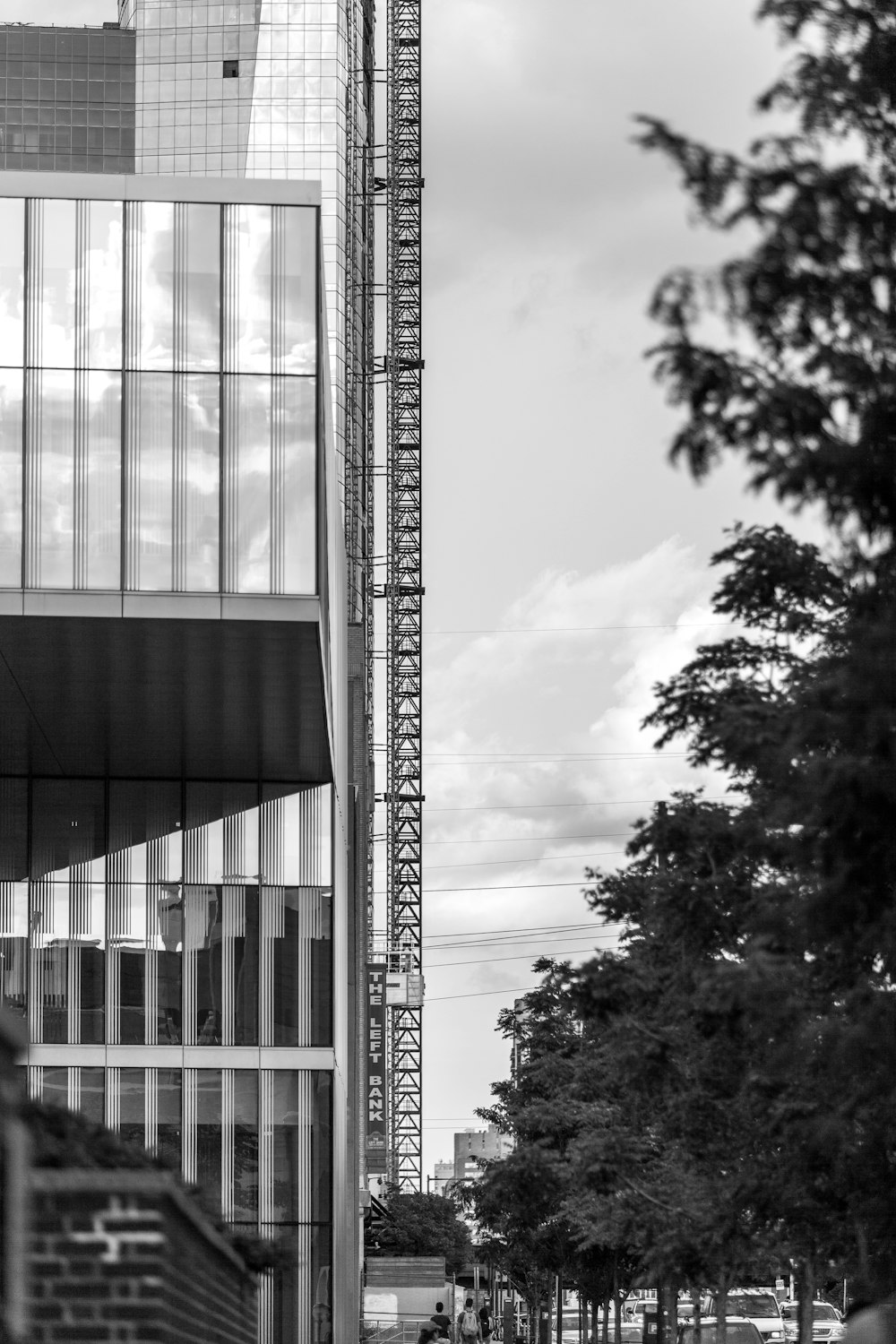 grayscale photo of glass walled building