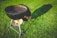 A charcoal grill lies on a well-manicured lawn, casting a long shadow in the sunlight. The grill is black with a gridiron surface and has a circular design with metal legs and wheels for support.