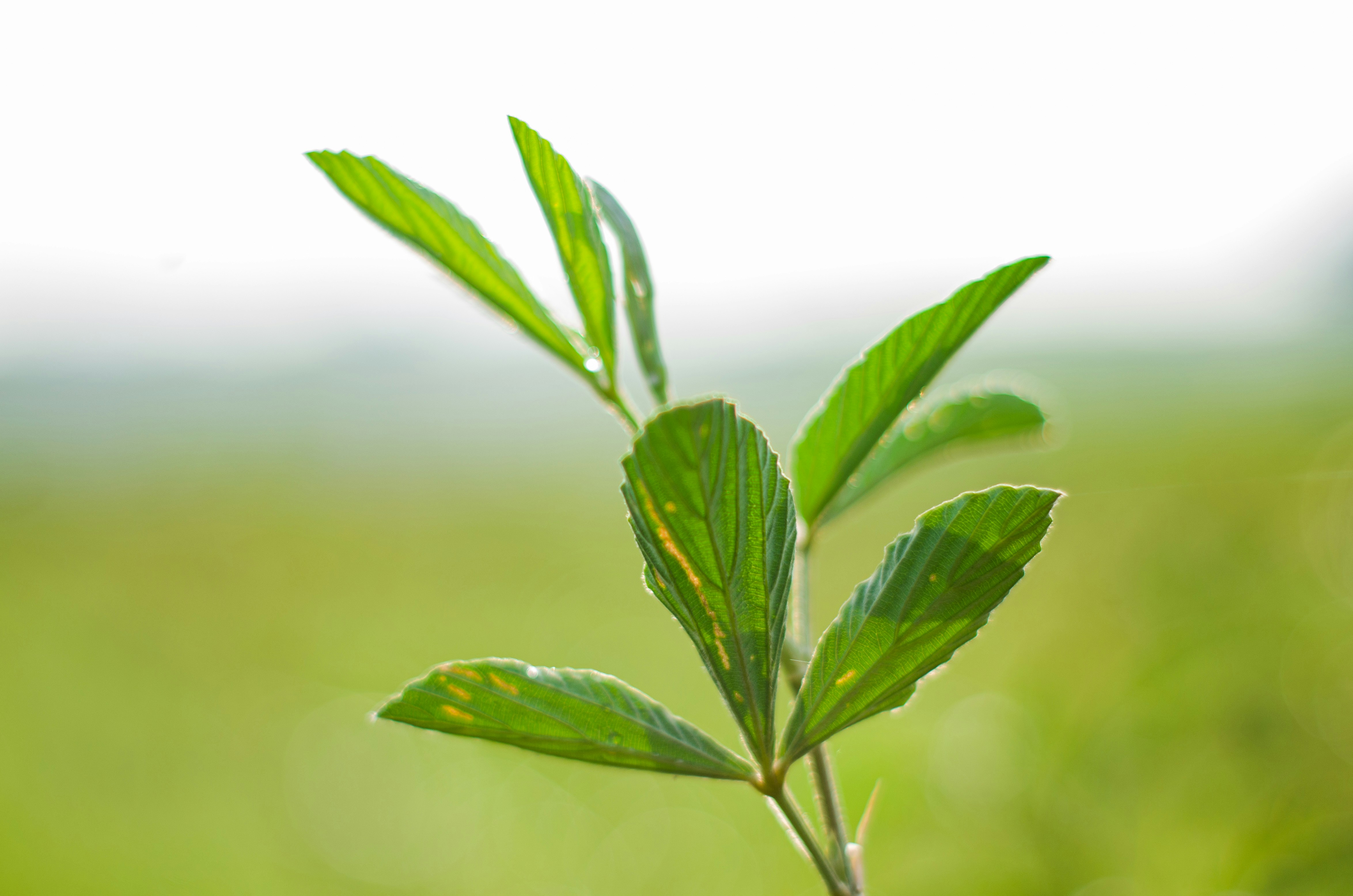 Photo by muhammadriz__