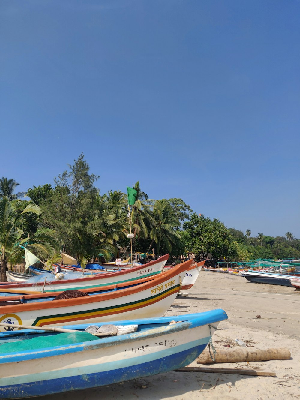 blue and red boats on beach during daytime