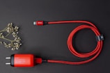 A red braided charging cable is neatly coiled next to a charger with a plug, set against a dark background. On the left, a sprig of dried white flowers adds an organic touch.