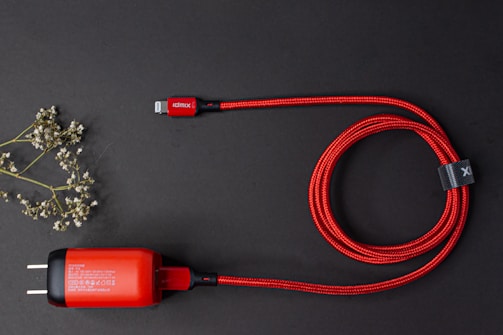 A red braided charging cable is neatly coiled next to a charger with a plug, set against a dark background. On the left, a sprig of dried white flowers adds an organic touch.