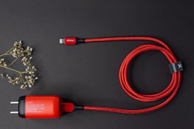 A red braided charging cable is neatly coiled next to a charger with a plug, set against a dark background. On the left, a sprig of dried white flowers adds an organic touch.
