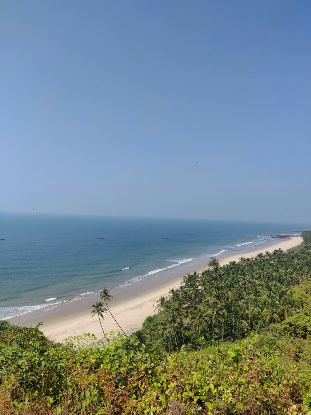 a view of the beach from the top of a hill