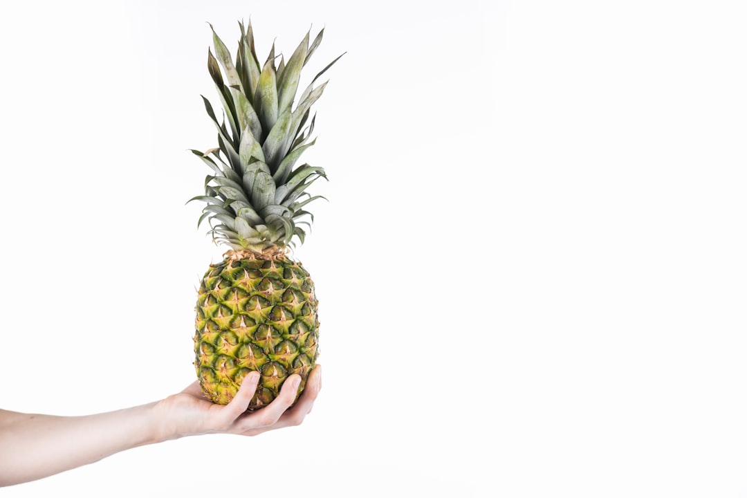 pineapple fruit on persons hand